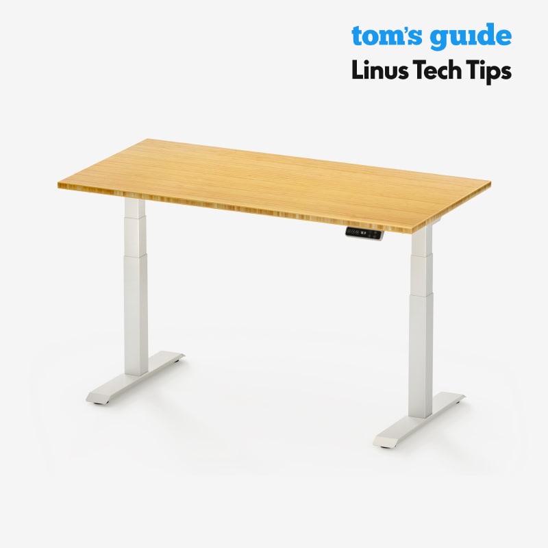 evafan2015　FLEXISPOT E7 Electric Height Adjustable Standing Desk: Dual Motor Economical