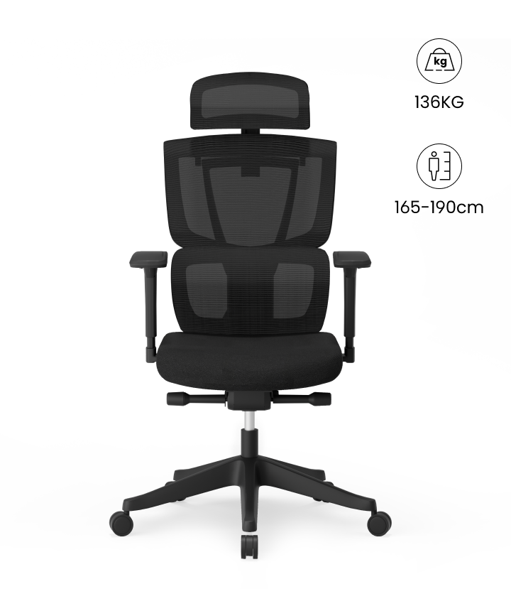 Flexispot Silla Ergonómica Multi-Ajustable con Soporte Lumbar Dividido
