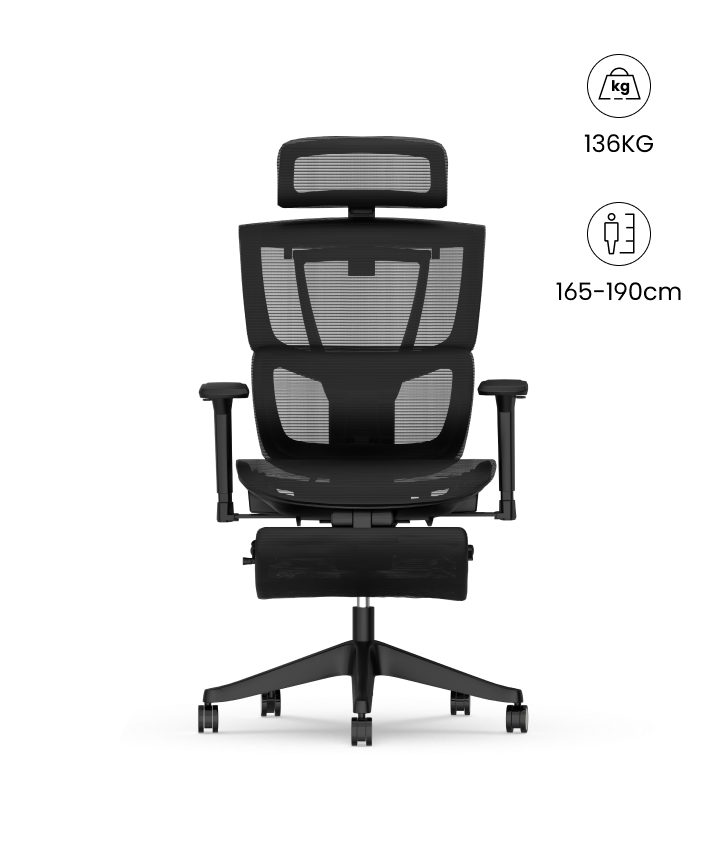 Flexispot Silla Ergonómica Multi-Ajustable con Soporte Lumbar Dividido