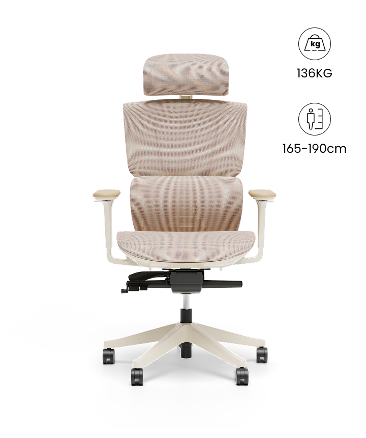 Flexispot Silla Ergonómica Multi-Ajustable con Soporte Lumbar Dividido