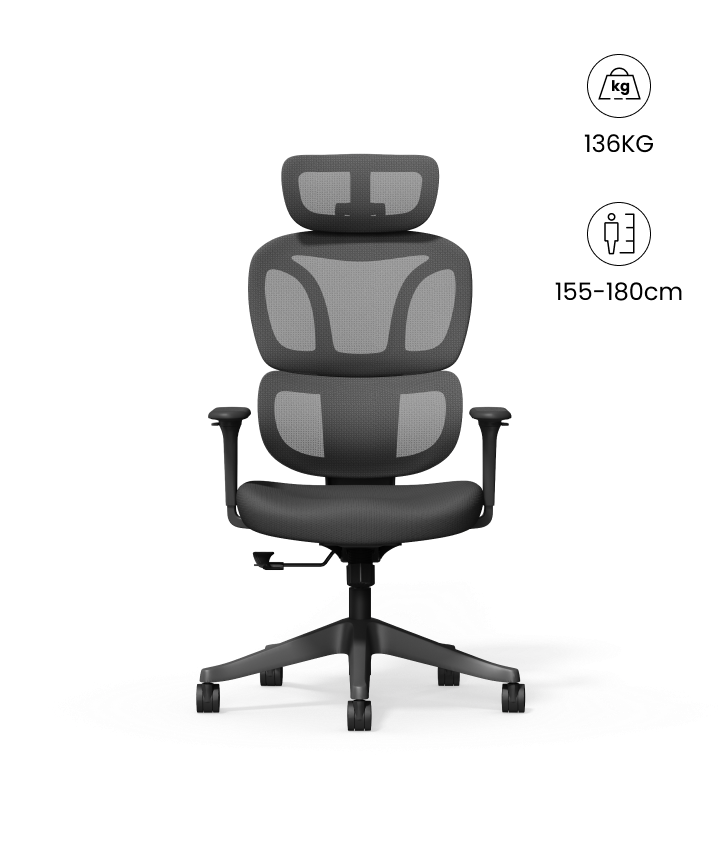 Flexispot Silla Ergonómica Colorida con Cojín Parecido a Una Nube