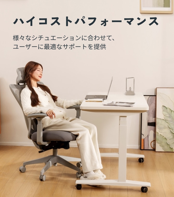 オフィスチェア・C5 | FlexiSpot 公式ストア