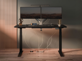 Product details | Flexispot