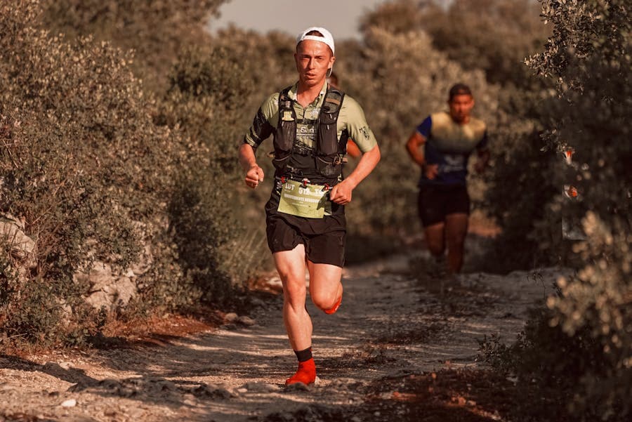 pexels-runffwpu-18408901.jpg pexels-runffwpu-18408901.jpg